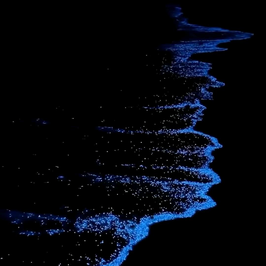 海洋·金