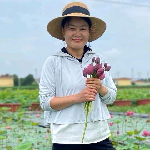 栗姐养荷花