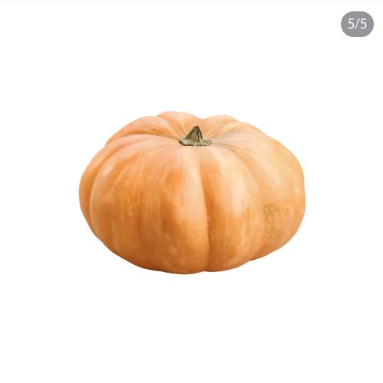 南瓜十六