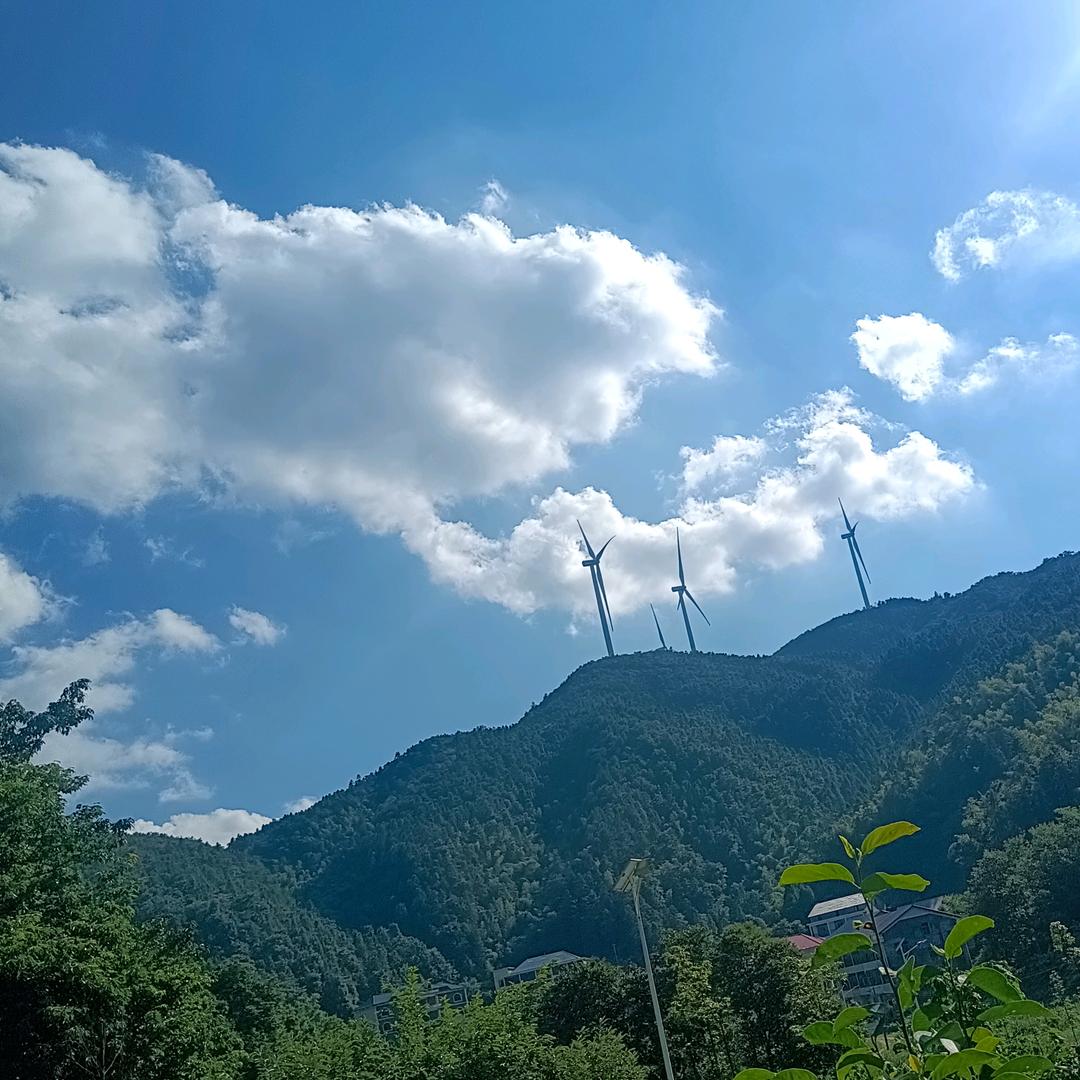 亮哥哥