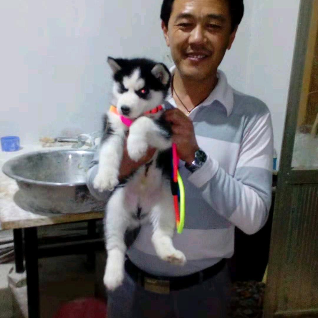 家有三宝