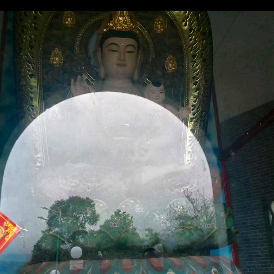 阳光总在风雨后76年龙真诚善良🙏
