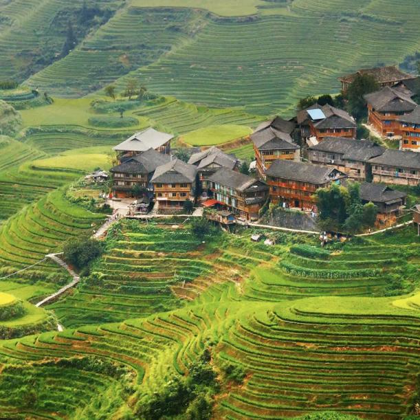 酩酊大醉与人间清醒