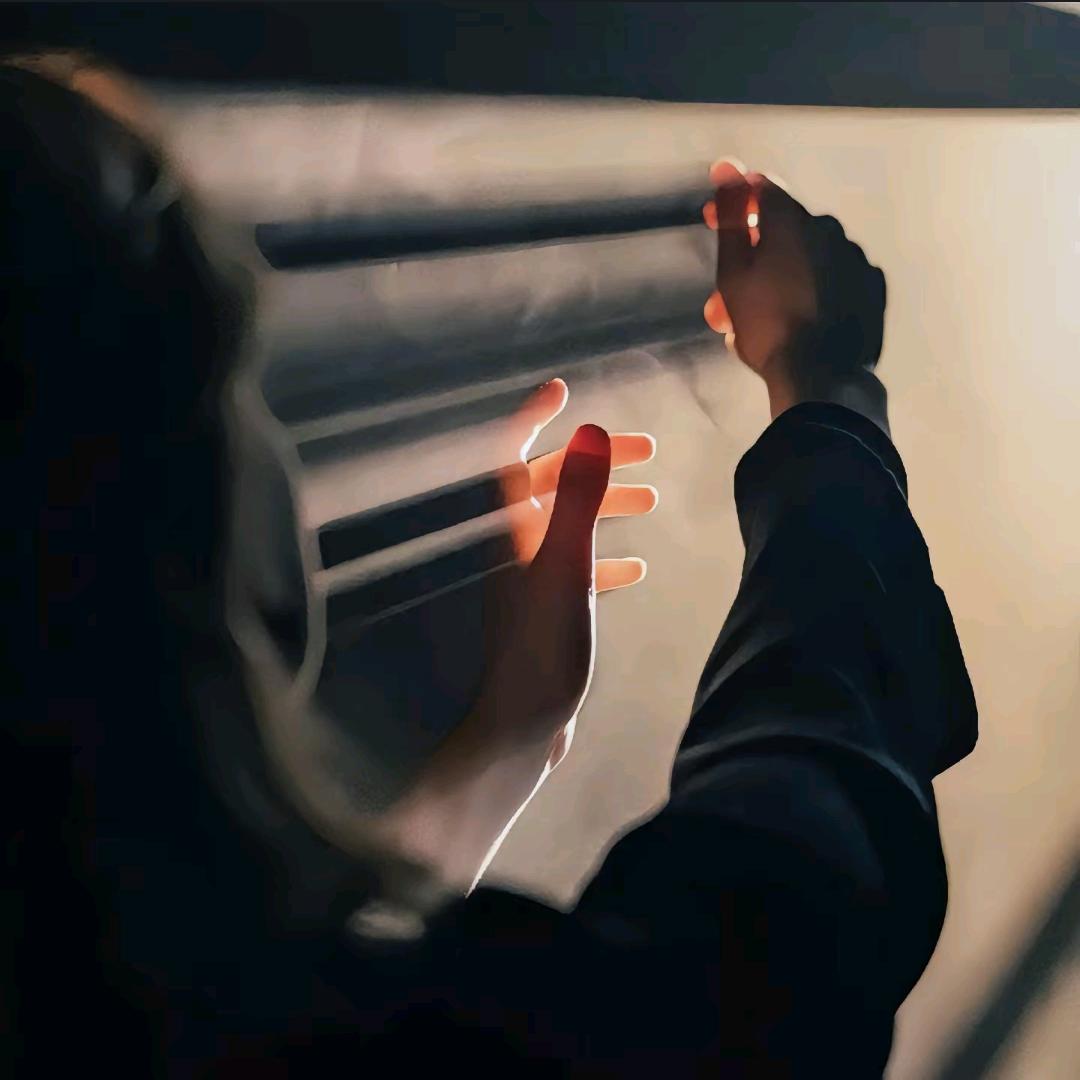 花生了什么树🎄