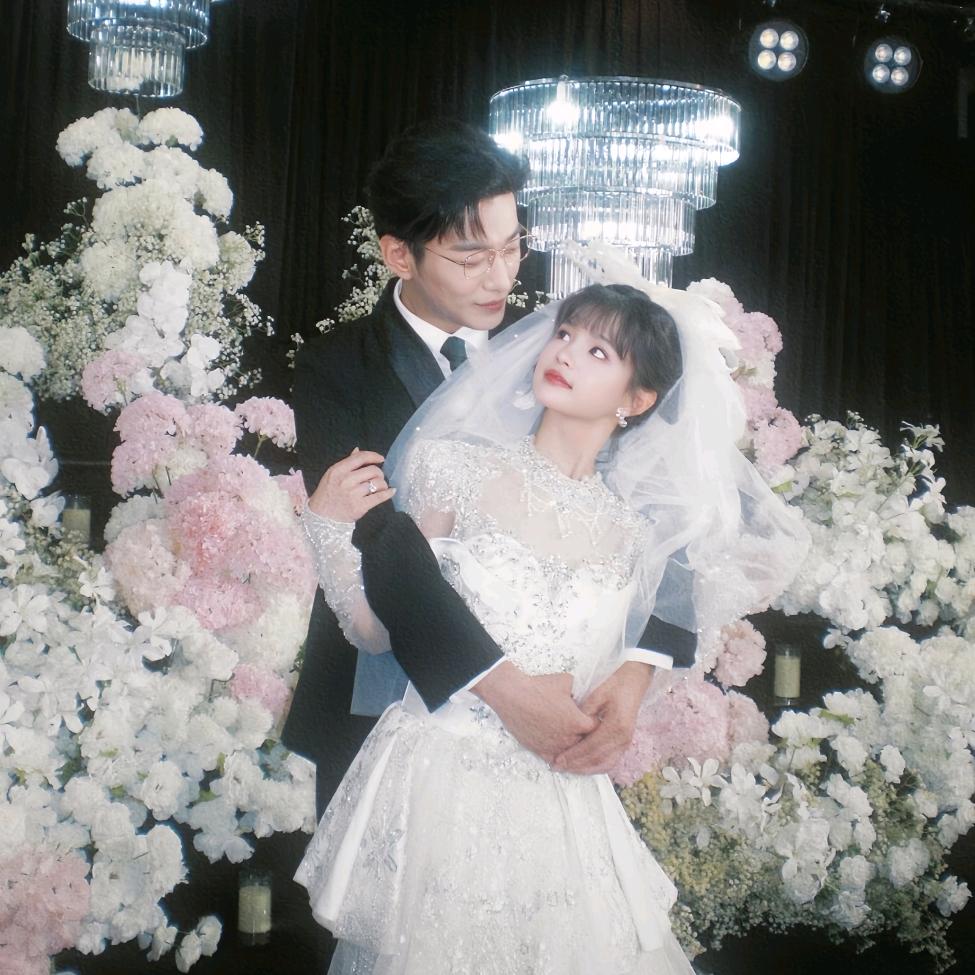 会游泳的洋葱圈