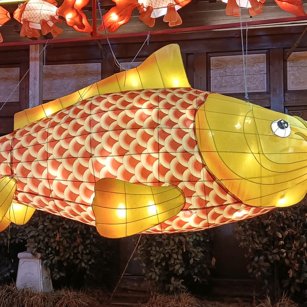 没心没肺快乐万岁