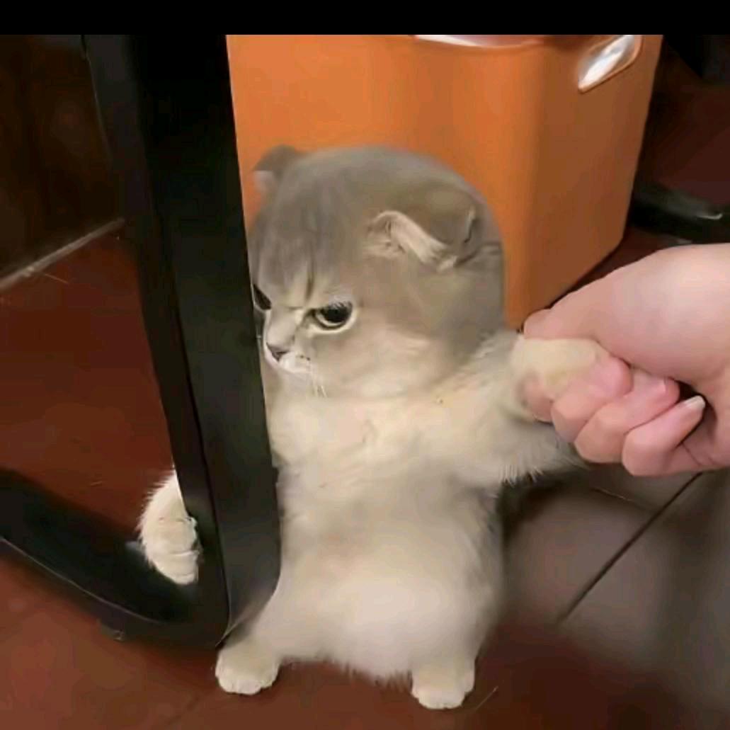 难得糊涂，糊涂难得\_