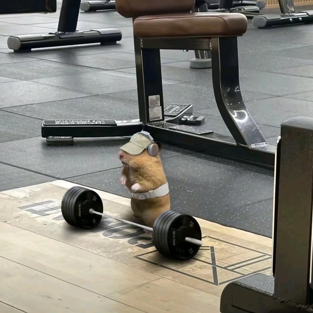 Hy.