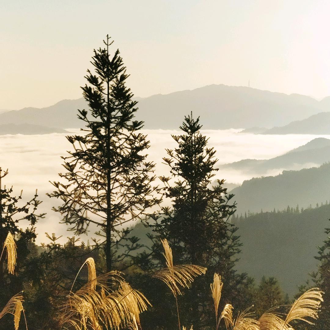 贵州不进一千不下播，蓝球