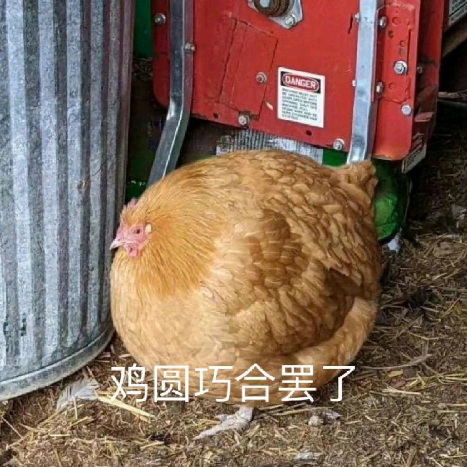 乌耀星