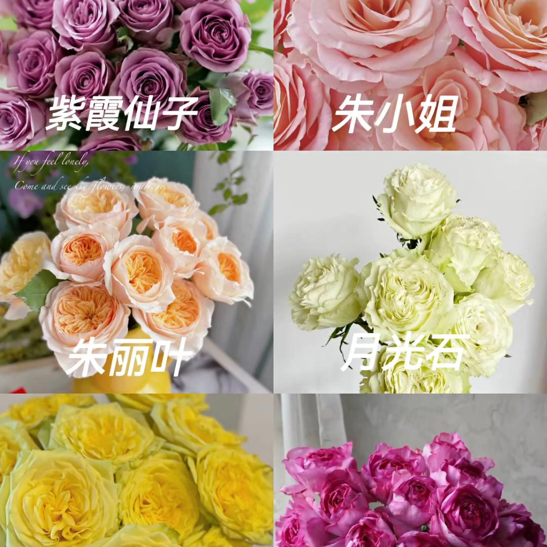 @云南小梅山歌768