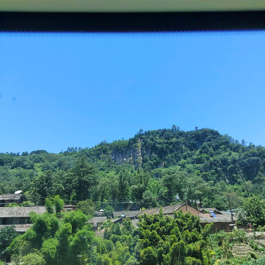 天山雪莲🌹生活简单🌹