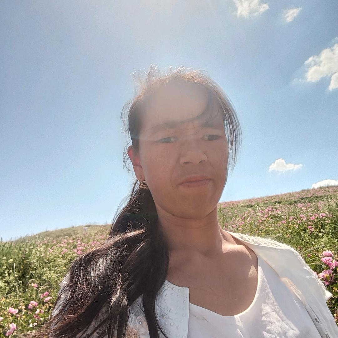 阳光下的兰花花