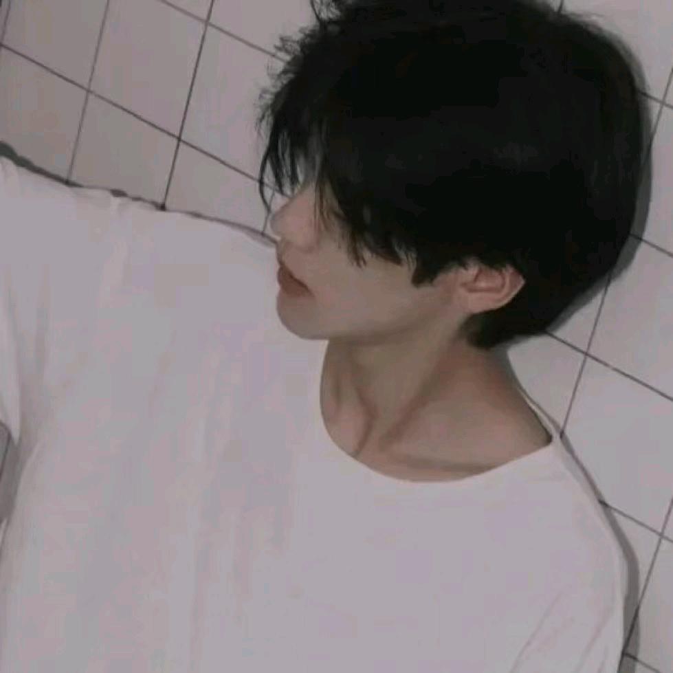 爱睡懒觉的懒猫