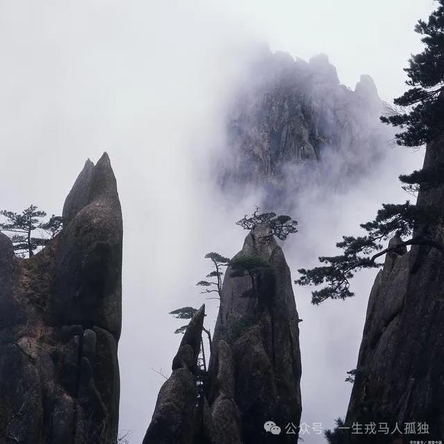 轻风