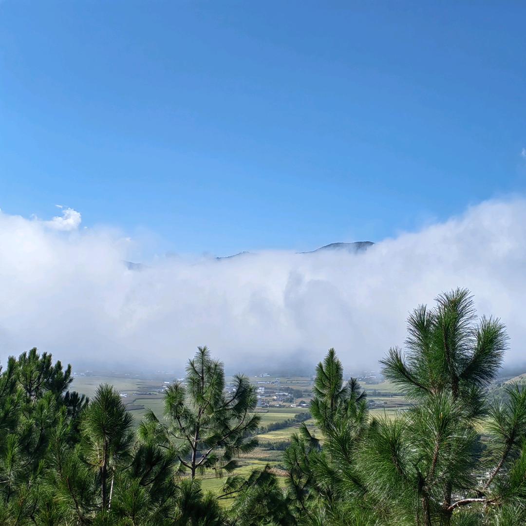 城市的屋檐下