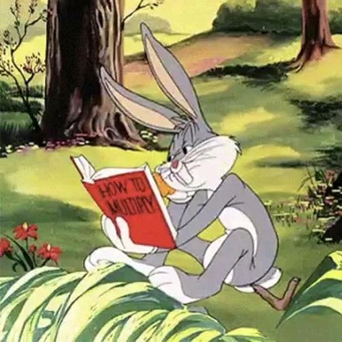 飞天小蛋狗