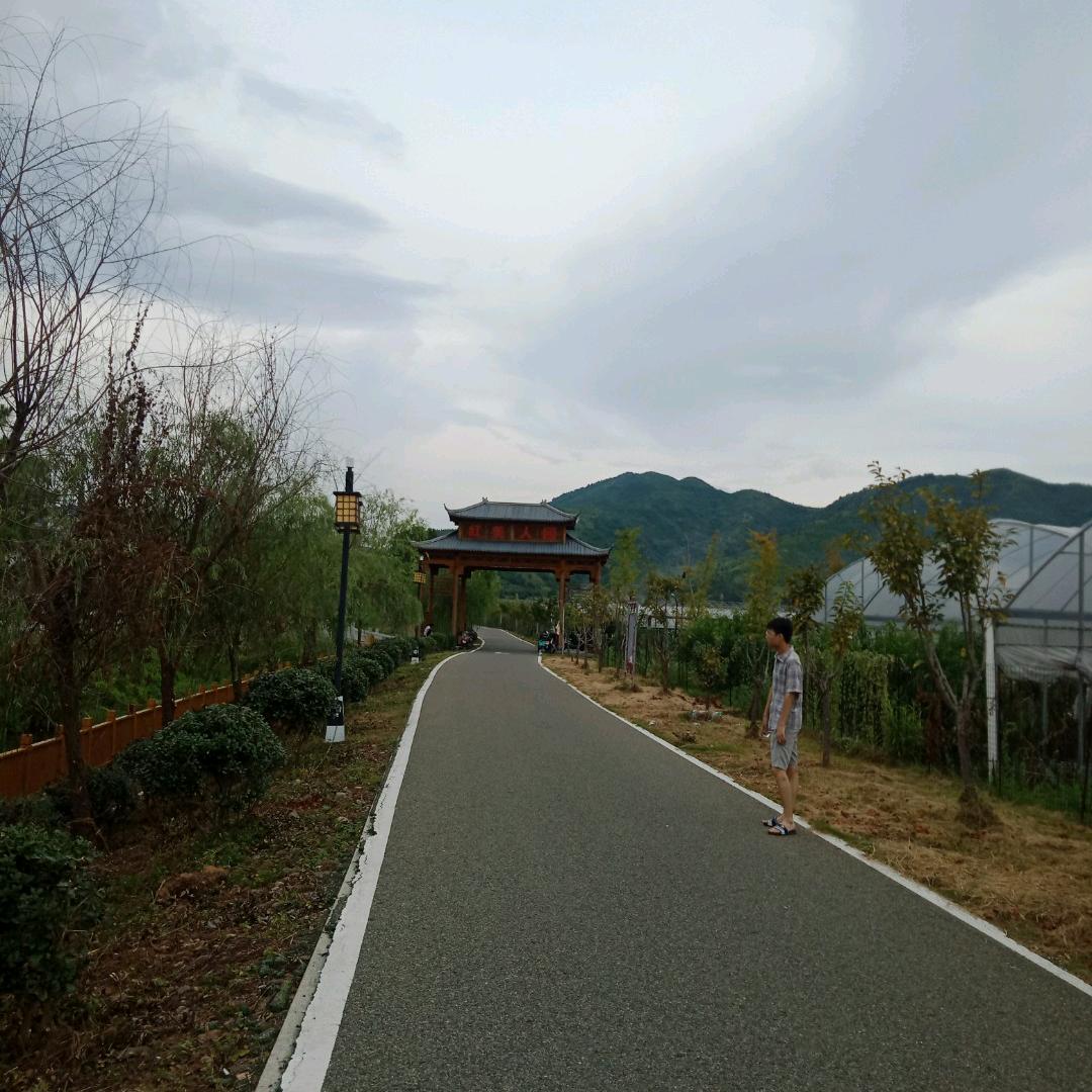 走在阳光下