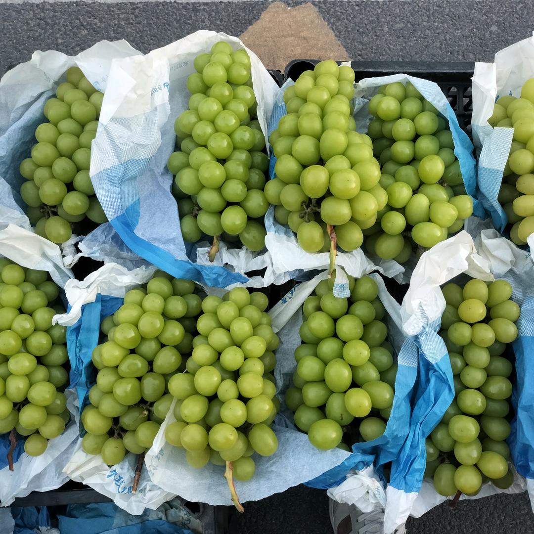 摆(●—●)摊(ಡωಡ) 人