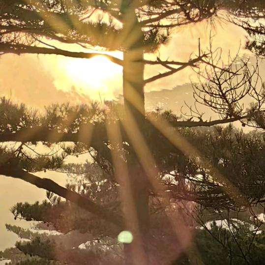 ღ᭄張張⁵²⁰吥痩¹ᵌ¹⁴꧔᭄࿐: