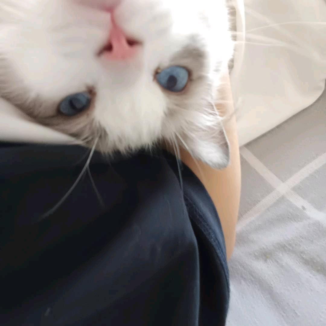 有你的将来