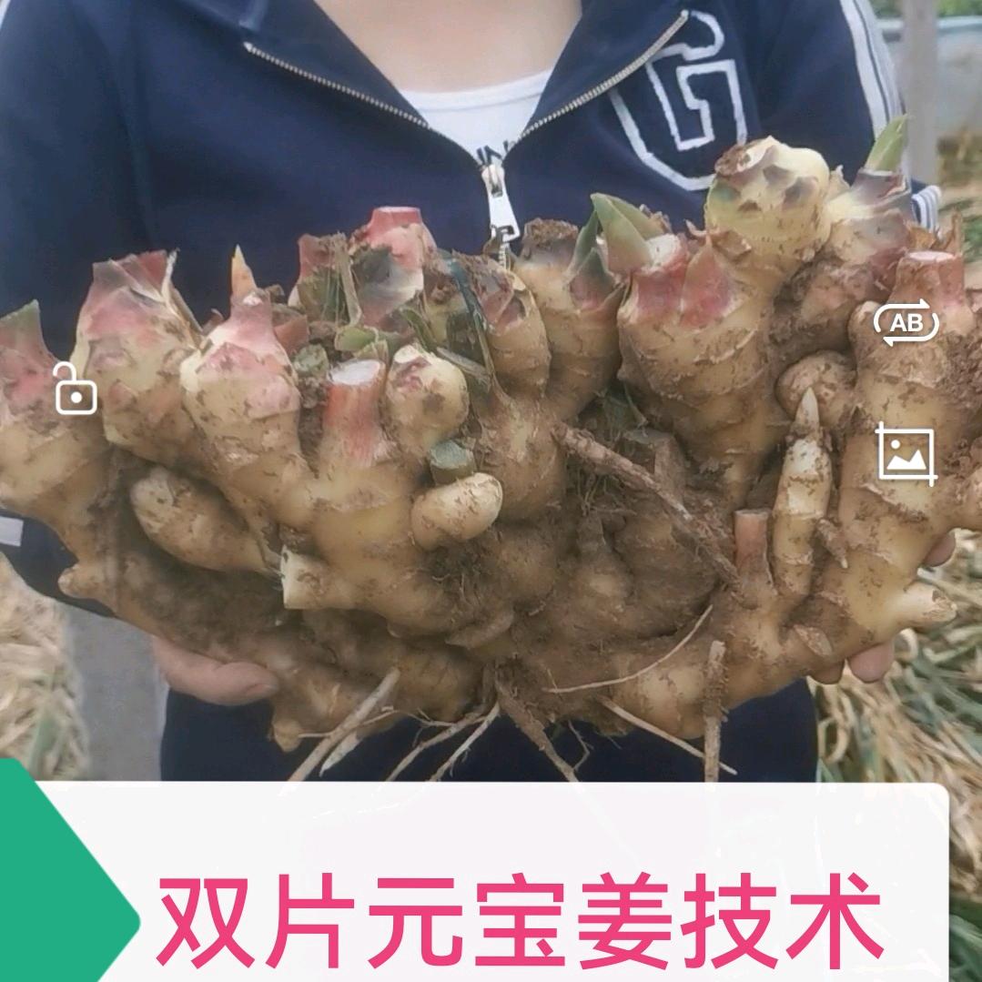 福农园农资