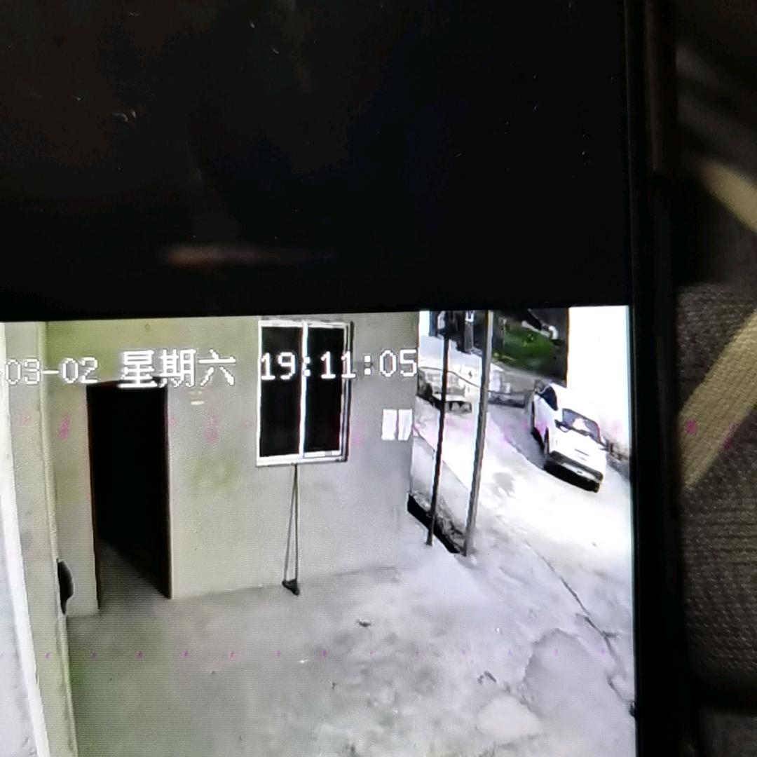 向家二， 少