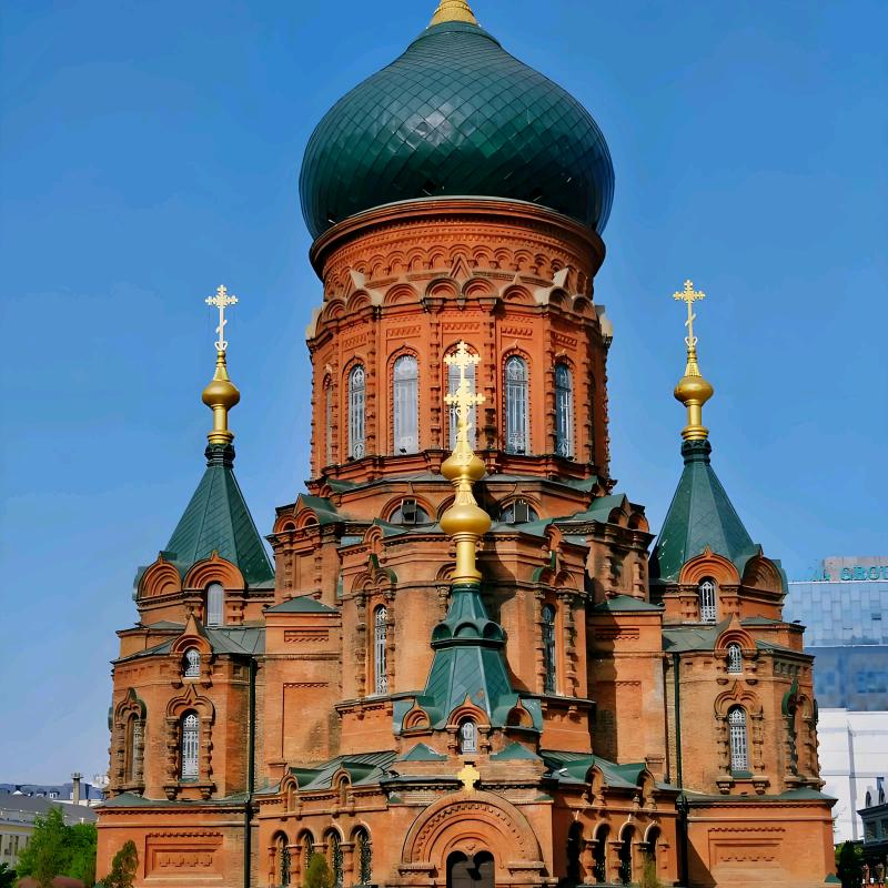 爱旅行的马哥🐴