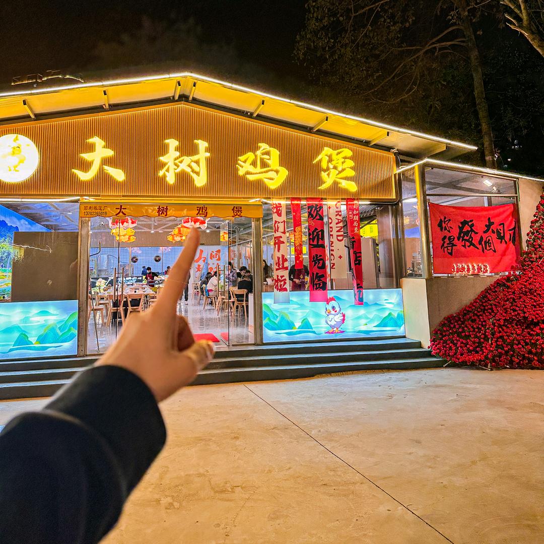 大树鸡煲官方号