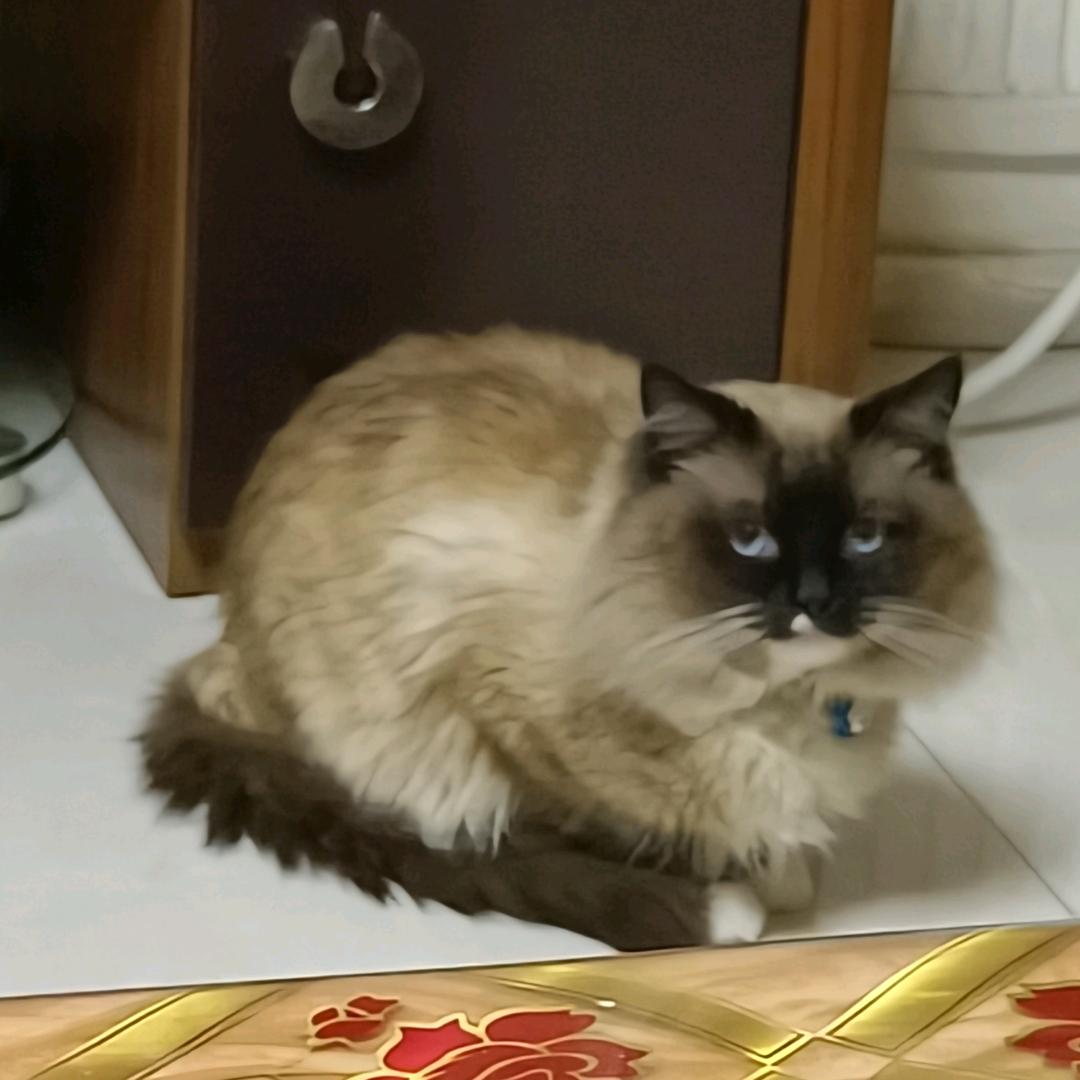 人过中年
