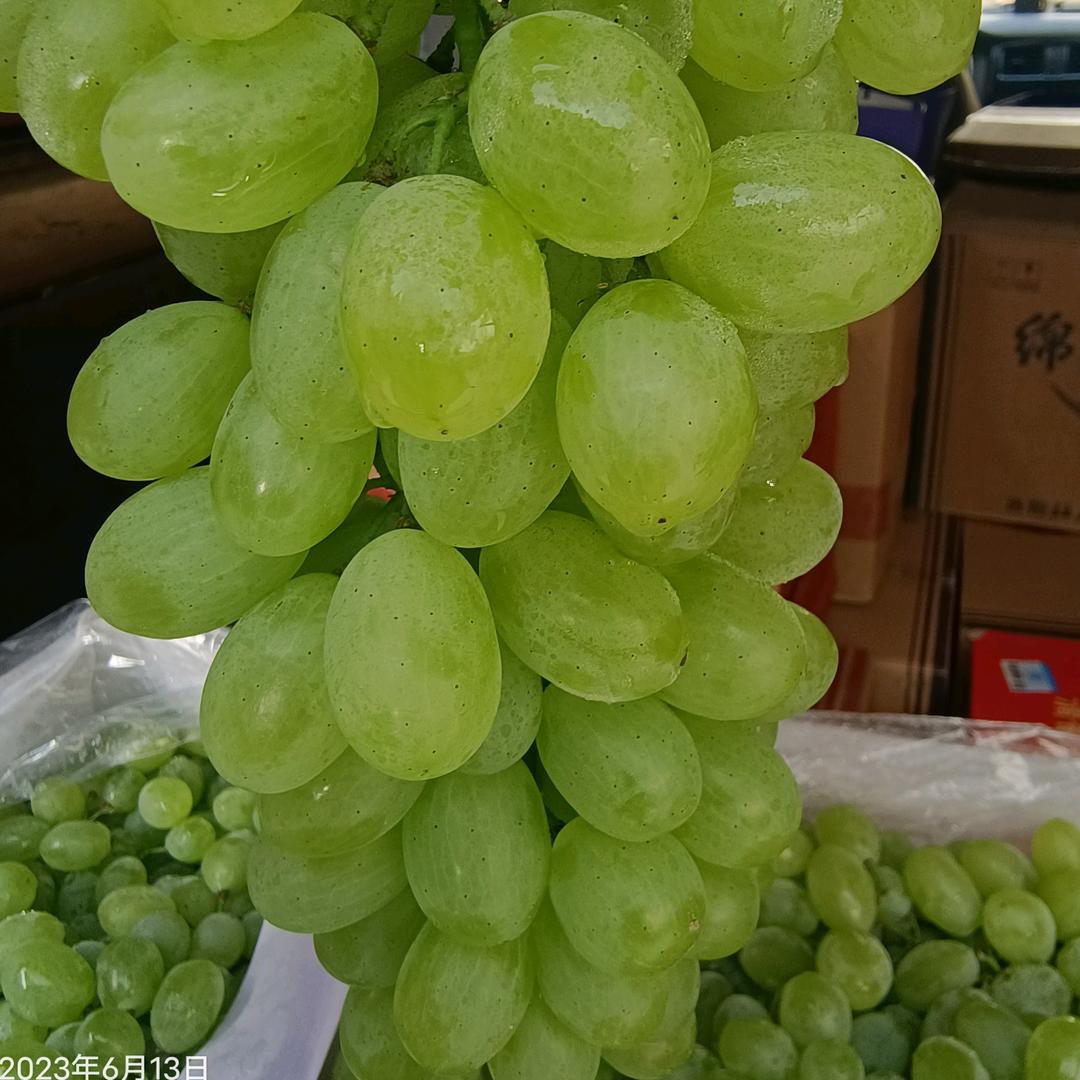 老魏杂谈
