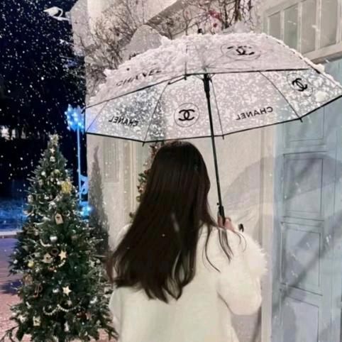 冬月🐬₍ᐢ..ᐢ₎