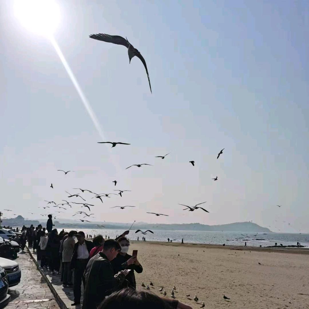 G💷ദ്ദി˶˃ ᵕ ˂ )的小草