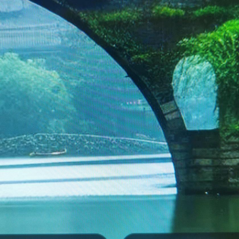 用户6263738282736328