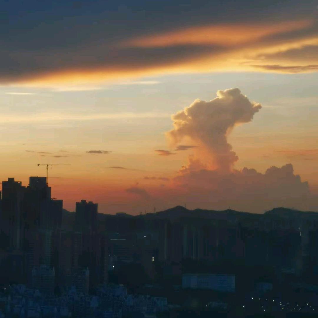 撅柿子头像