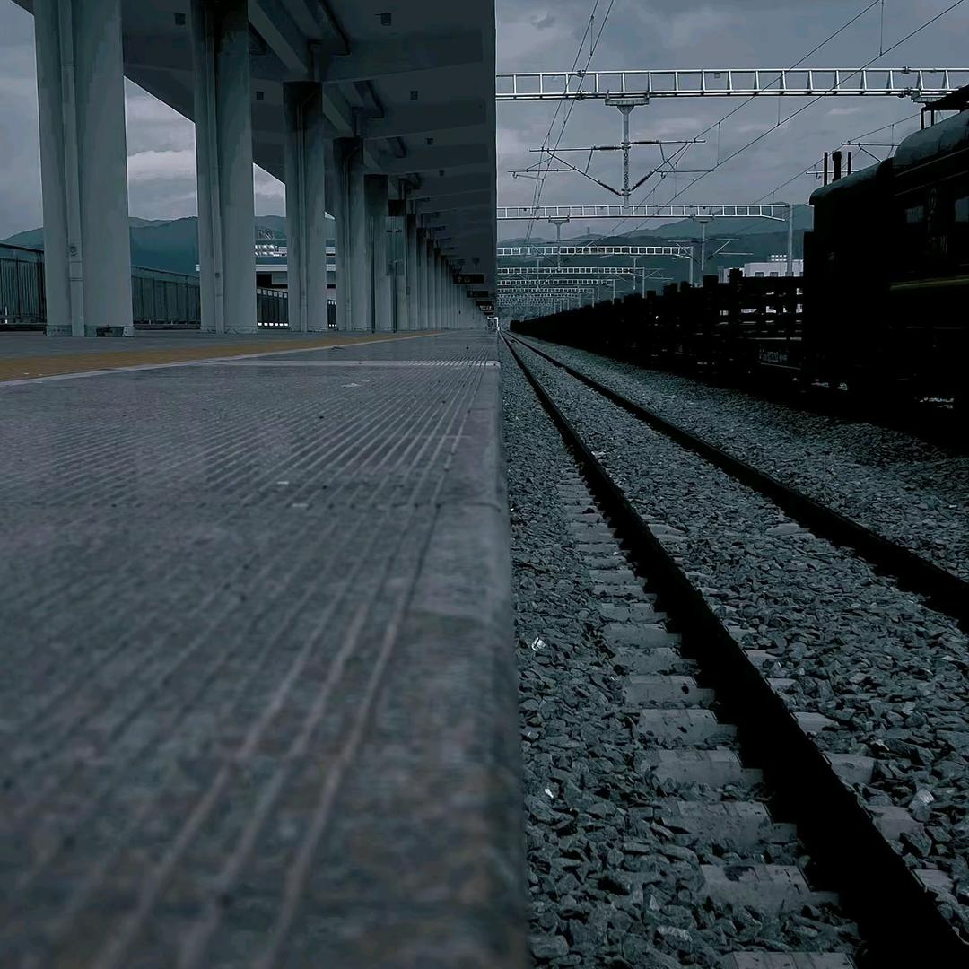 muscle