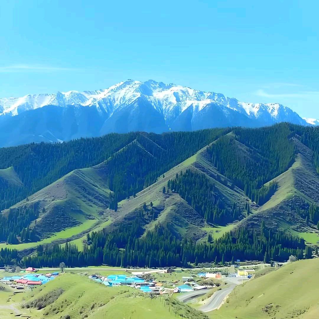沧海