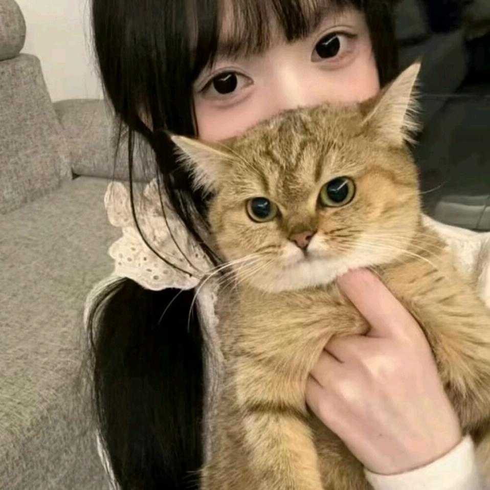 泥鳅