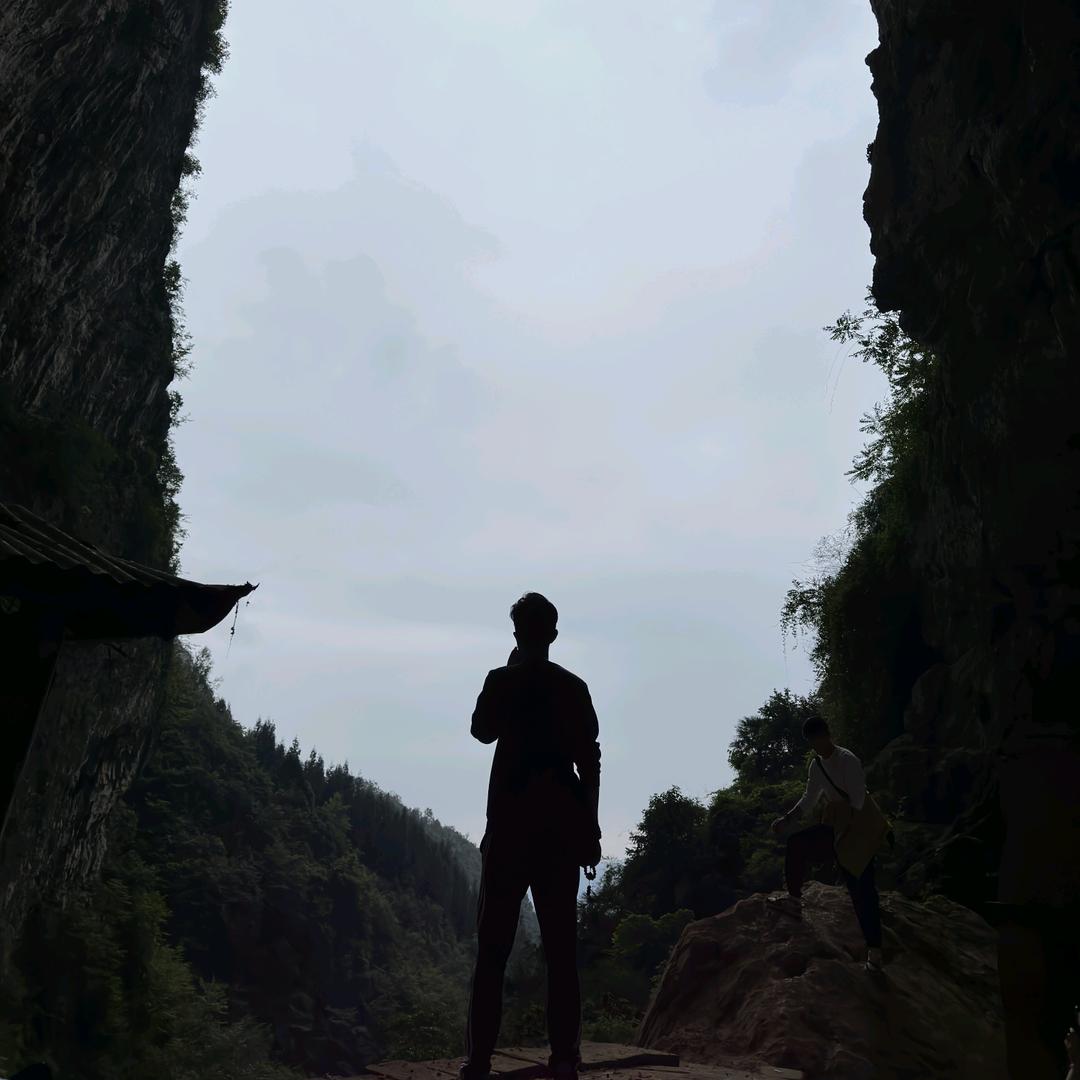 洪臣。