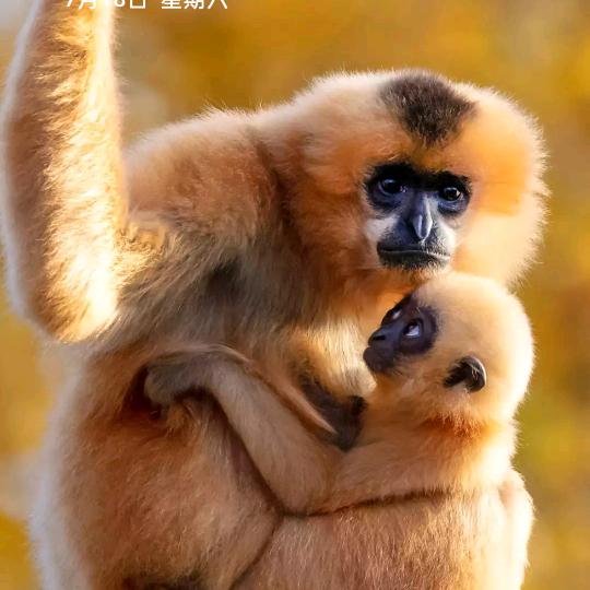 我什么都没有～