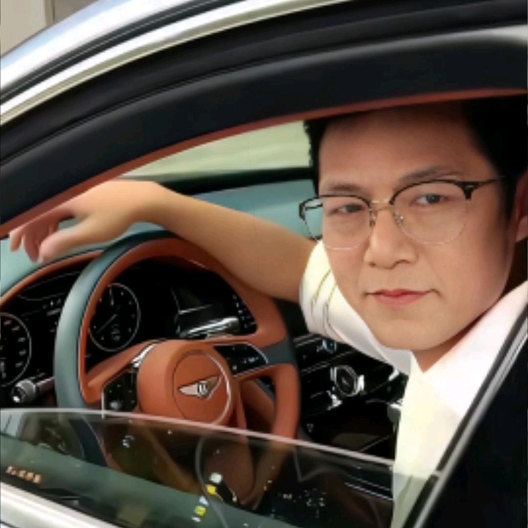 孤雁语默