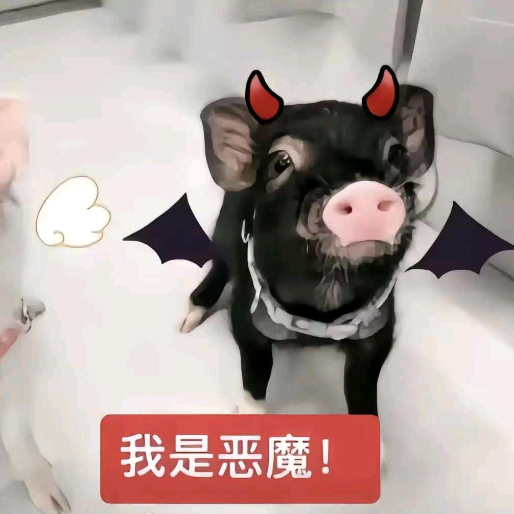 农村喂鸡老奶