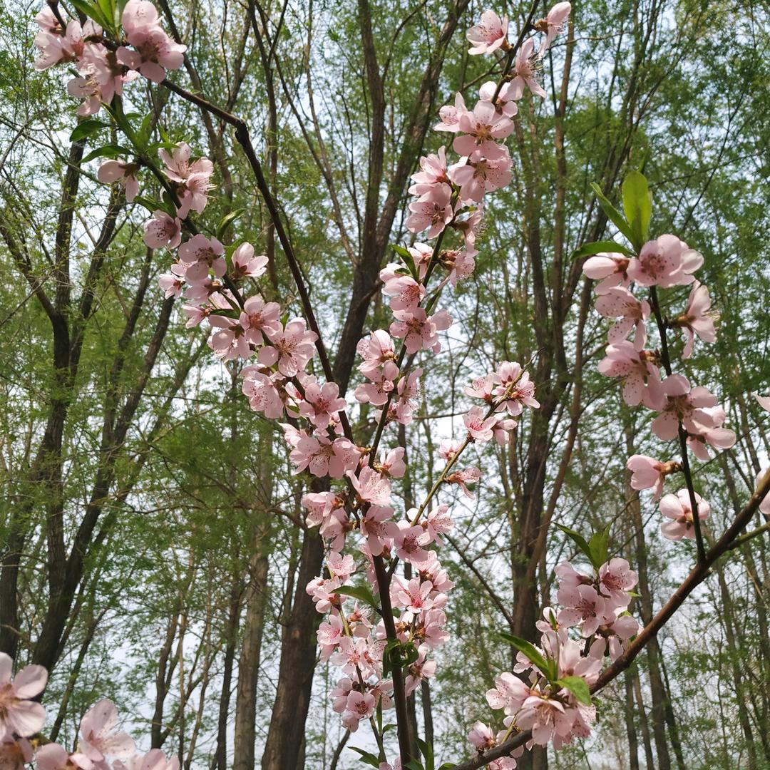 昌 ºº⁶¹🌻⁸⁰²³☀️🍢