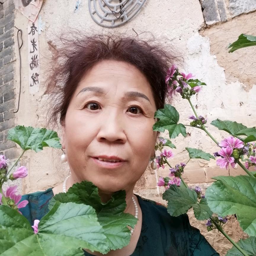 李海青每天下午2点10分开播