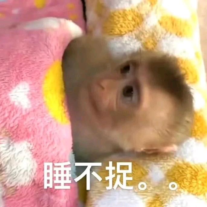 大可爱芜湖