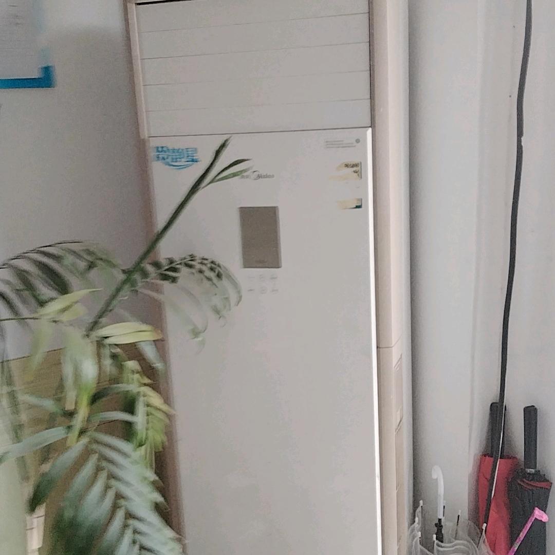 山河无恙