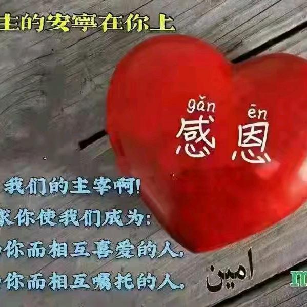 参悟