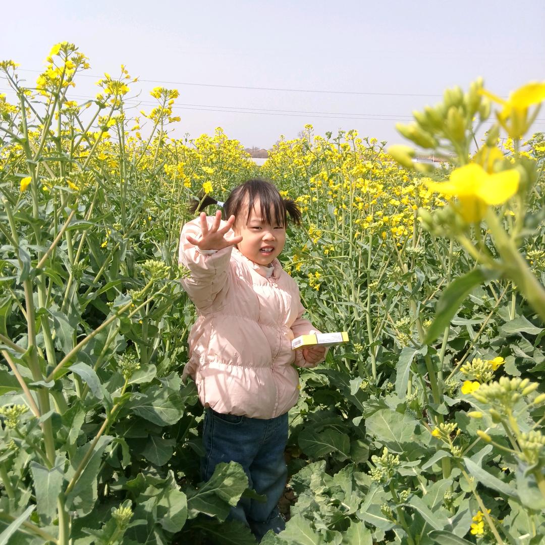 平常人