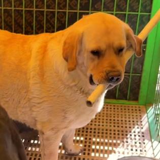 🌈用户85275757886