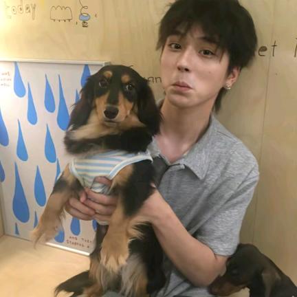 绿色的劳埃德